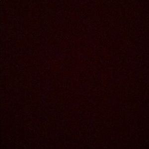 Meet your Posher, Iliana